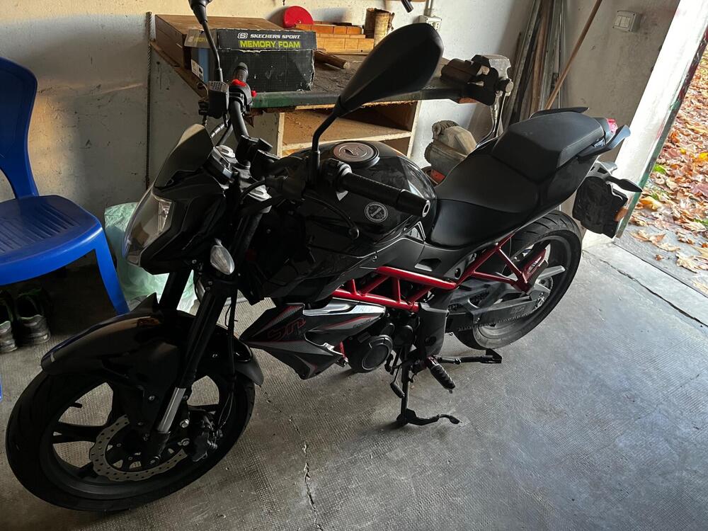 Benelli BN 125 (2021 - 25) (3)