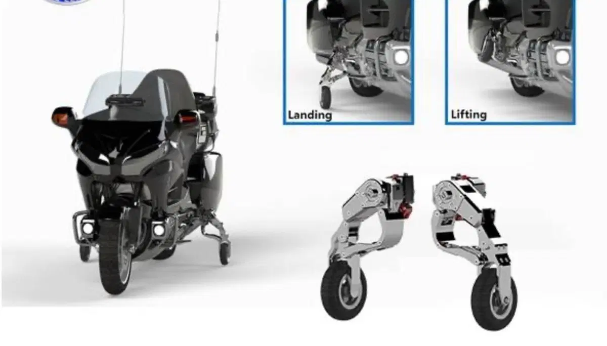 Carrello atterraggio Goldwing (5)