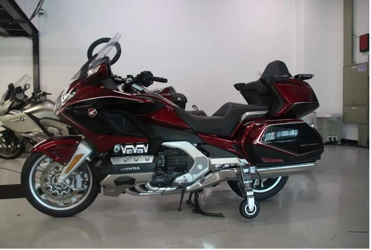 Carrello atterraggio Goldwing (7)