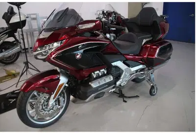 Carrello atterraggio Goldwing