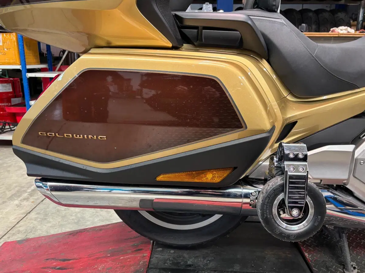 Carrello atterraggio Goldwing (13)