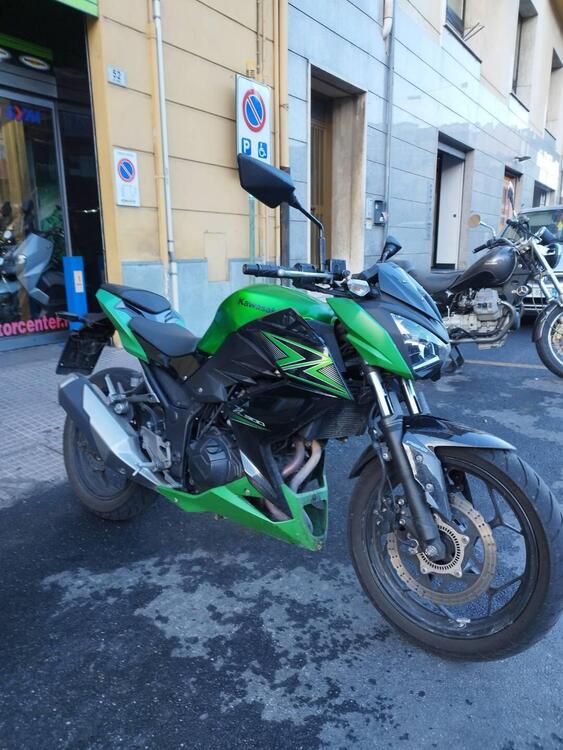 Kawasaki Z 300 ABS (2015 - 16)