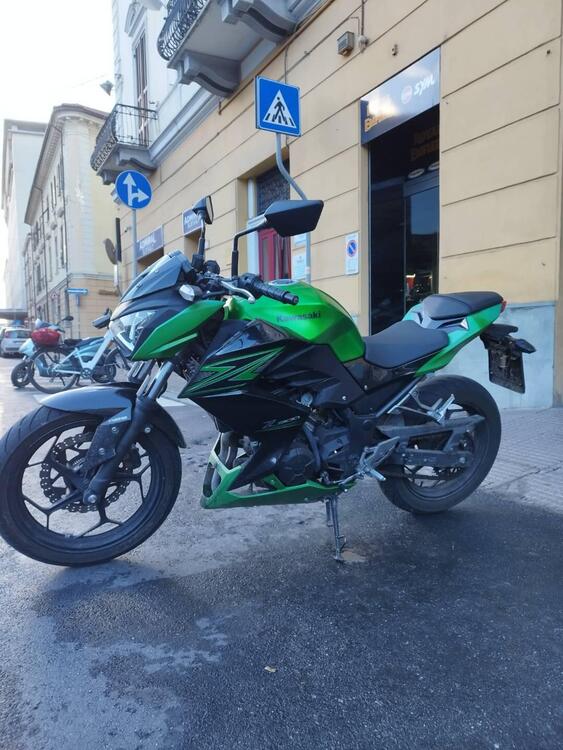 Kawasaki Z 300 ABS (2015 - 16) (2)