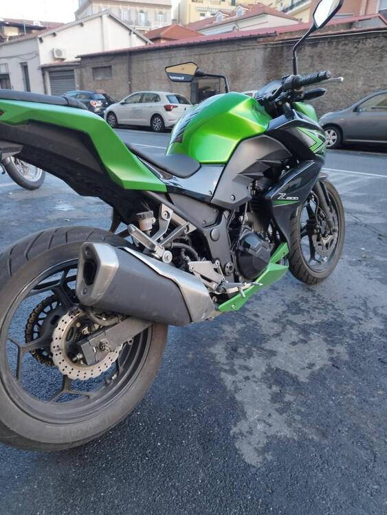 Kawasaki Z 300 ABS (2015 - 16) (3)