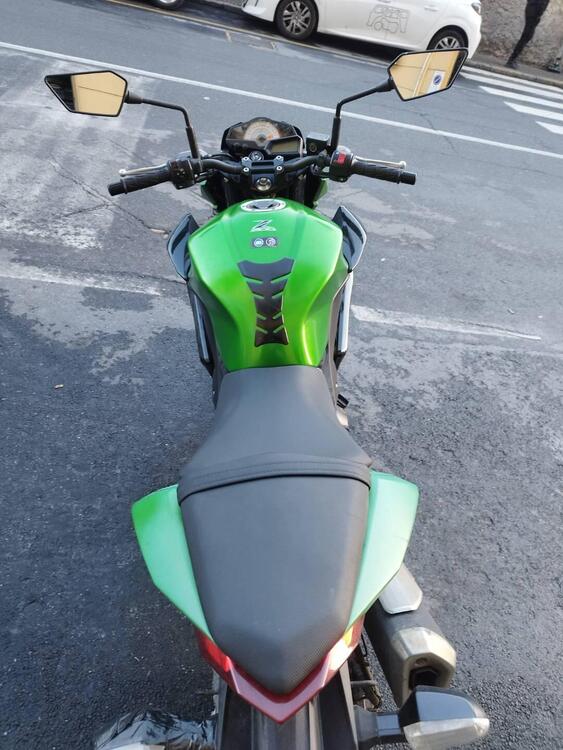 Kawasaki Z 300 ABS (2015 - 16) (5)