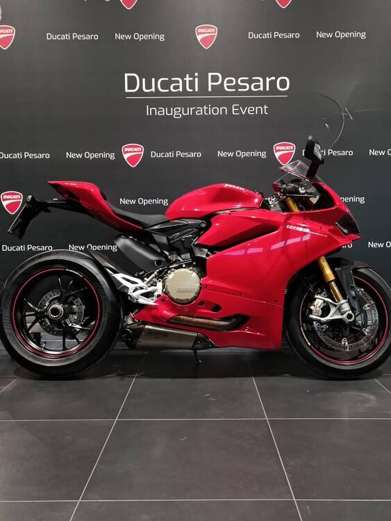 Ducati 1299 Panigale S (2015 - 18) (2)