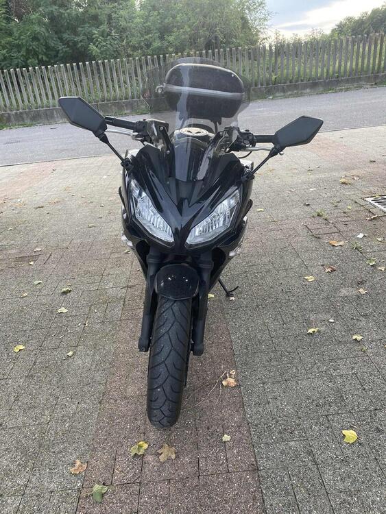 Kawasaki ER-6F (2012 - 13)