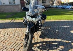 Triumph Tiger 800 XRx (2018 - 20) usata