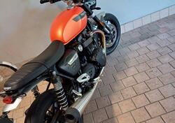 Triumph Speed Twin 1200 (2021 - 24) usata