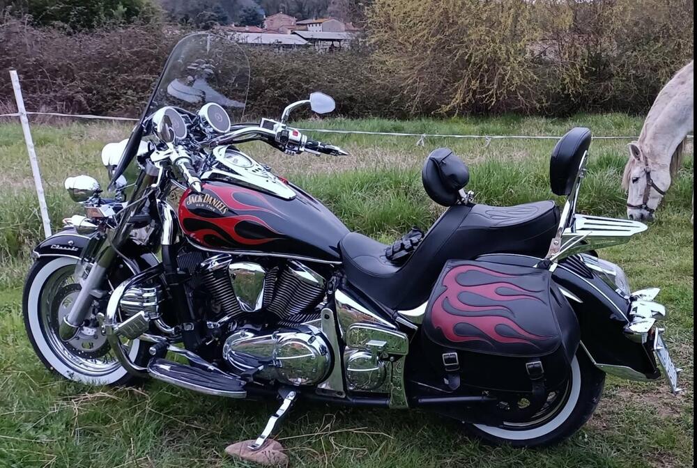 Kawasaki Vulcan VN 900 Classic (2006 - 10) (5)