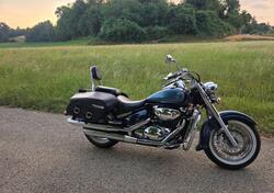 Suzuki VL 800 Intruder Volusia (2000 - 04) usata