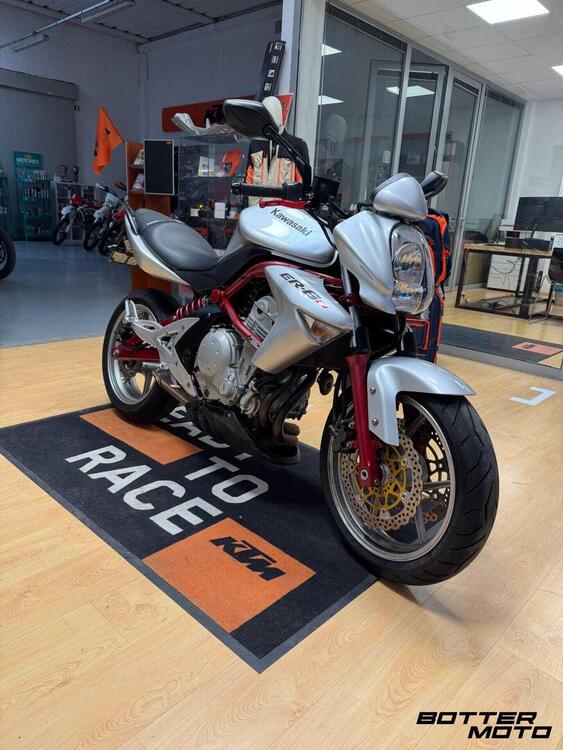 Kawasaki ER-6N (2006 - 09)