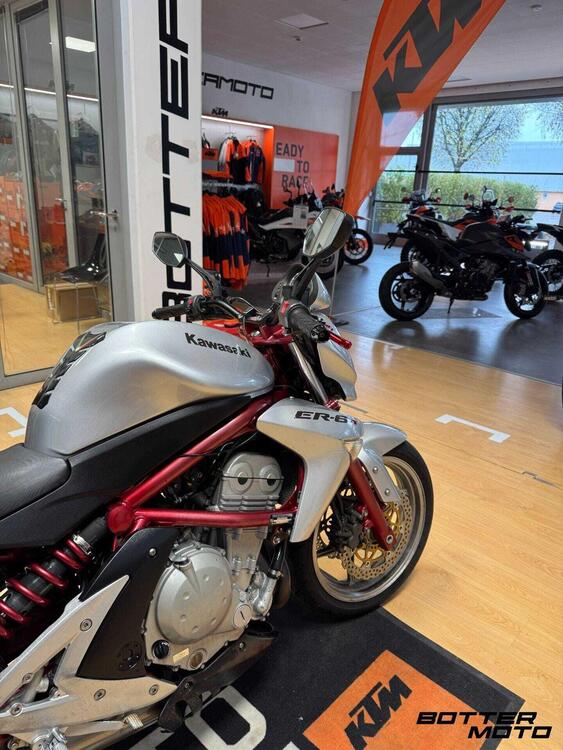 Kawasaki ER-6N (2006 - 09) (3)