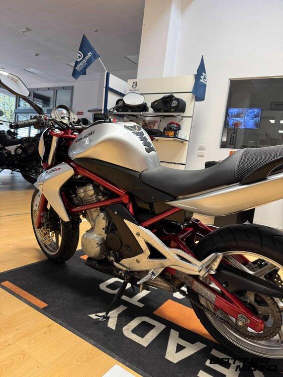Kawasaki ER-6N (2006 - 09) (4)