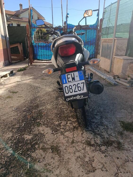 Honda CB 125 F (2021 - 25) (5)