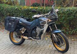 Kove 800X Pro (2024 - 26) nuova