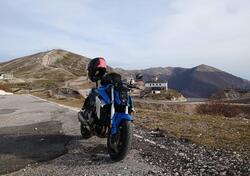 Suzuki GSX-S950 (2021 - 23) usata