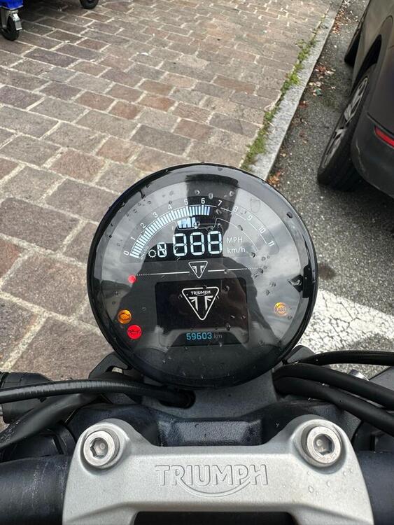 Triumph Trident 660 (2021 - 24) (2)
