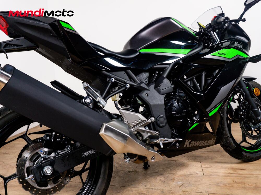Kawasaki Ninja 125 (2019 - 20) (4)
