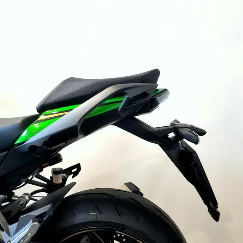 Kawasaki Ninja 1100 SX SE (2025 - 26) (13)