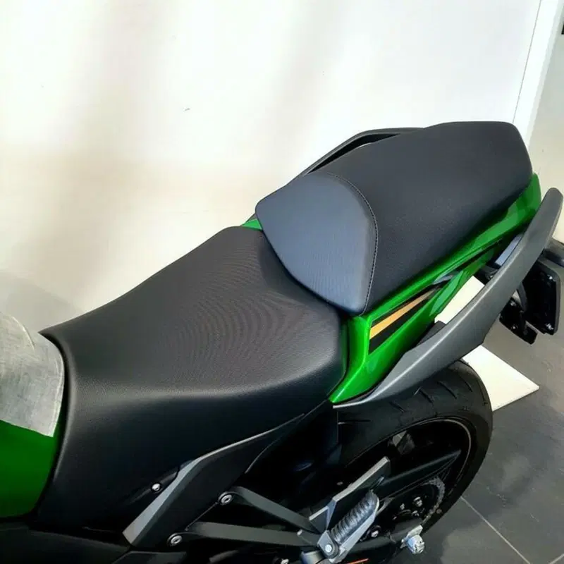 Kawasaki Ninja 1100 SX SE (2025 - 26) (12)