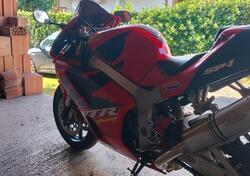 Honda VTR 1000 SP-1 (2000 - 01) usata