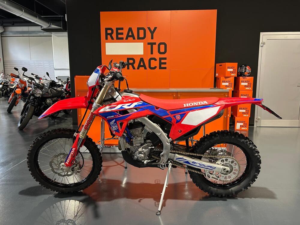 Honda CRF 250 RX Enduro (2024)