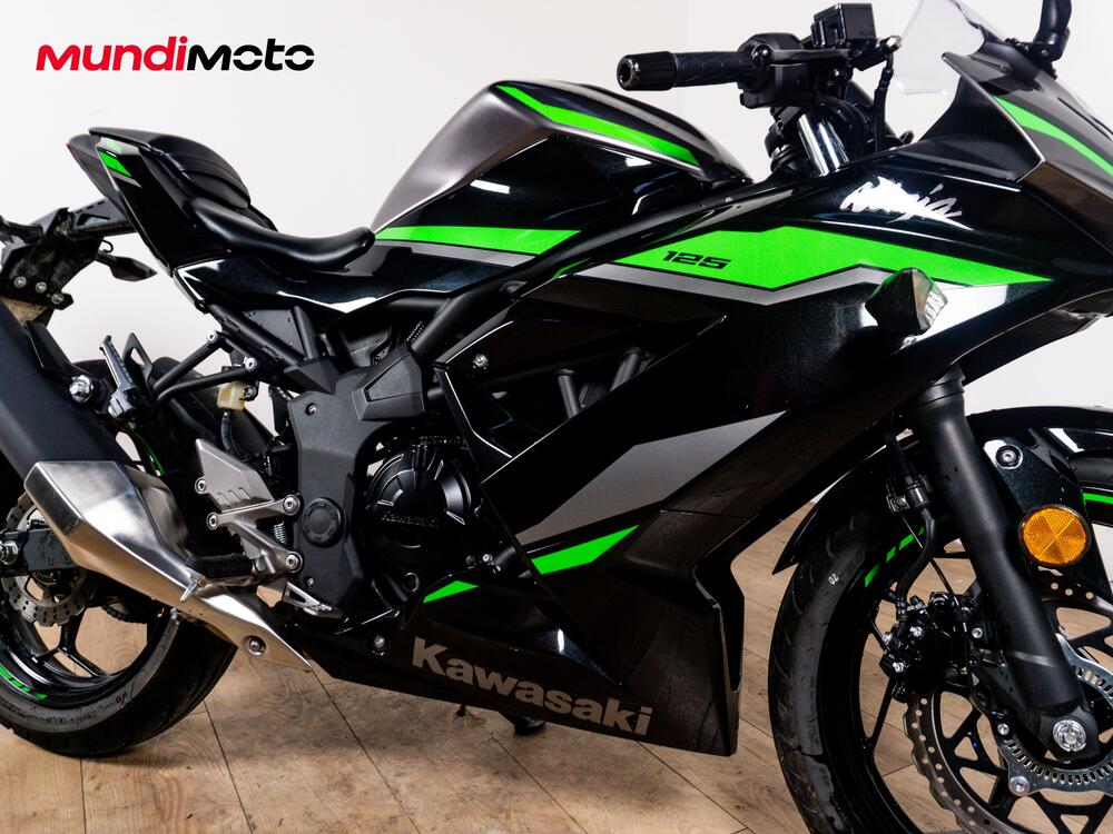 Kawasaki Ninja 125 (2019 - 20) (5)