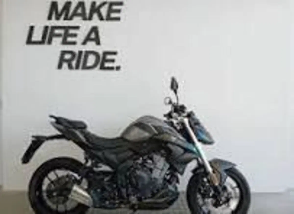 Voge Brivido 300R (2021 - 24)