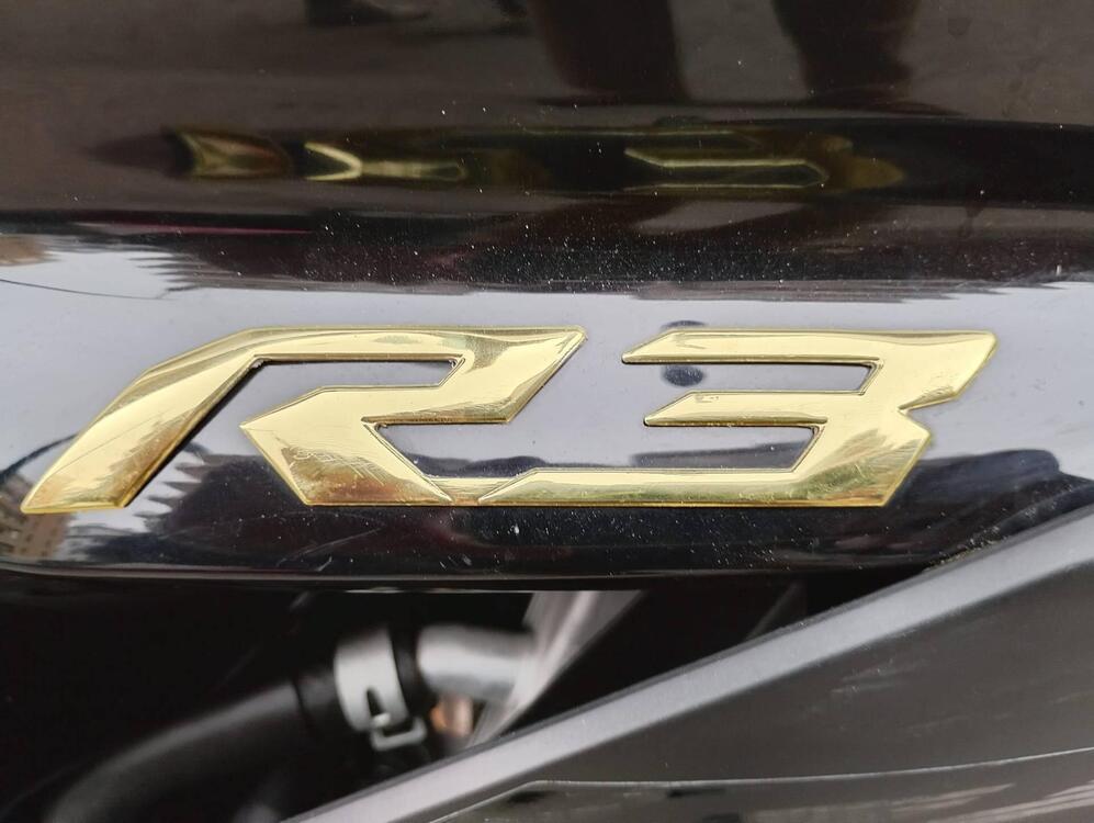 Yamaha YZF R3 (2019 - 20) (5)