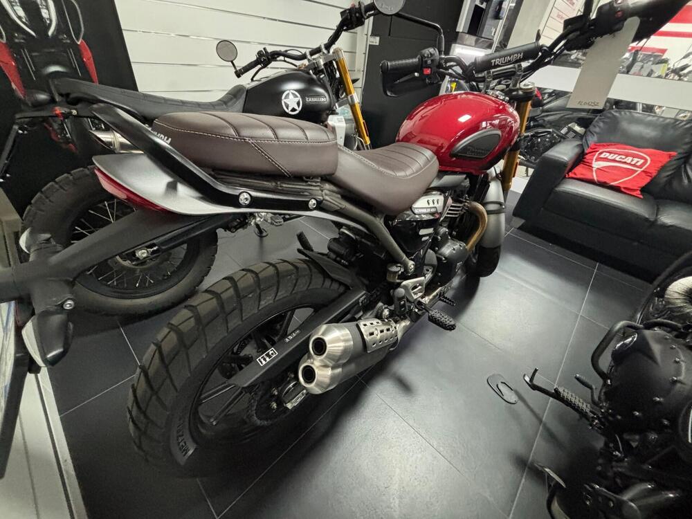 Triumph Scrambler 400 X (2024 - 25) (4)
