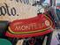 Montesa CAPPRA 250 CROSS (15)