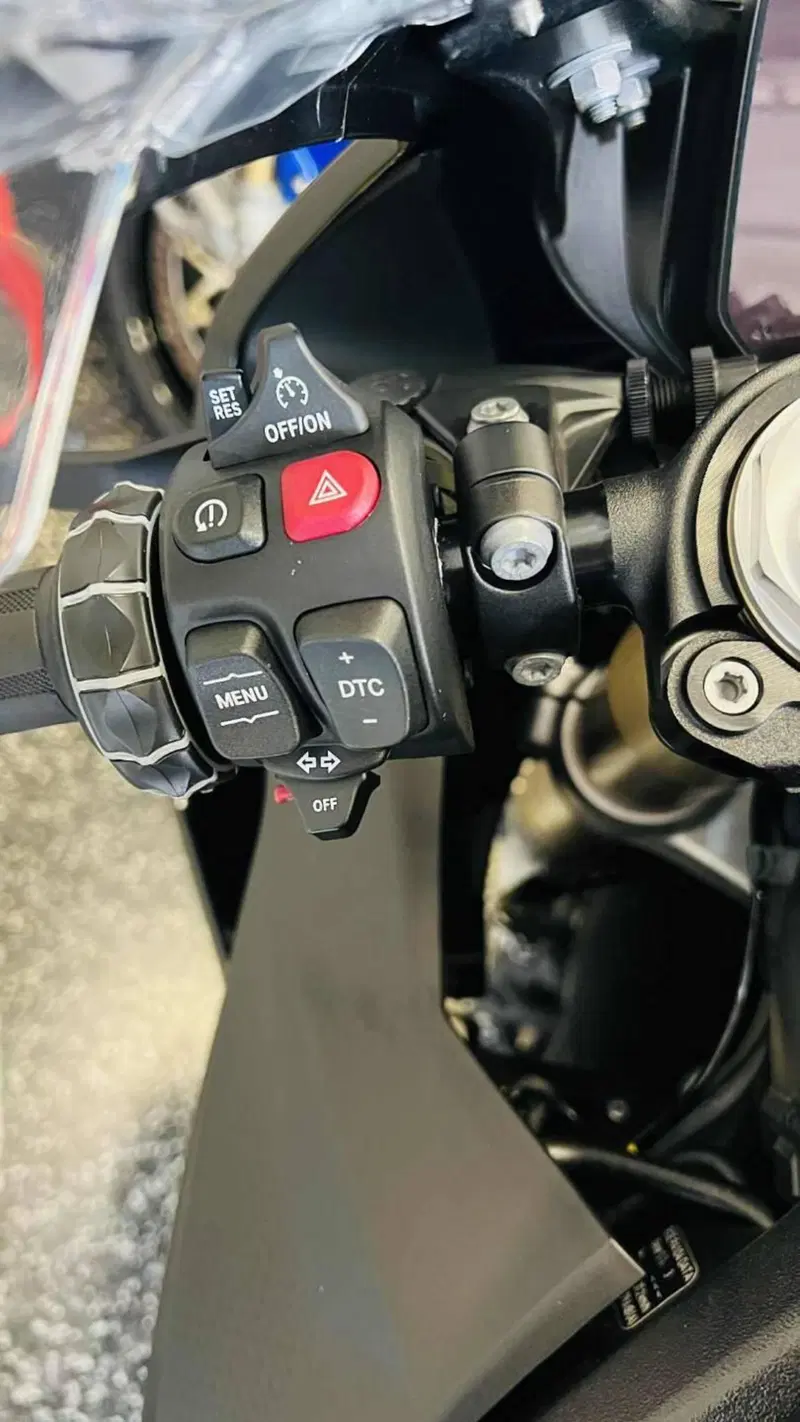 Bmw S 1000 RR (2023 - 24) (15)
