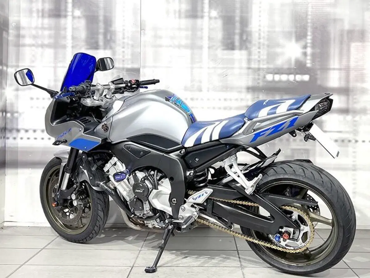 Yamaha FZ1 Fazer (2006 - 16) (2)
