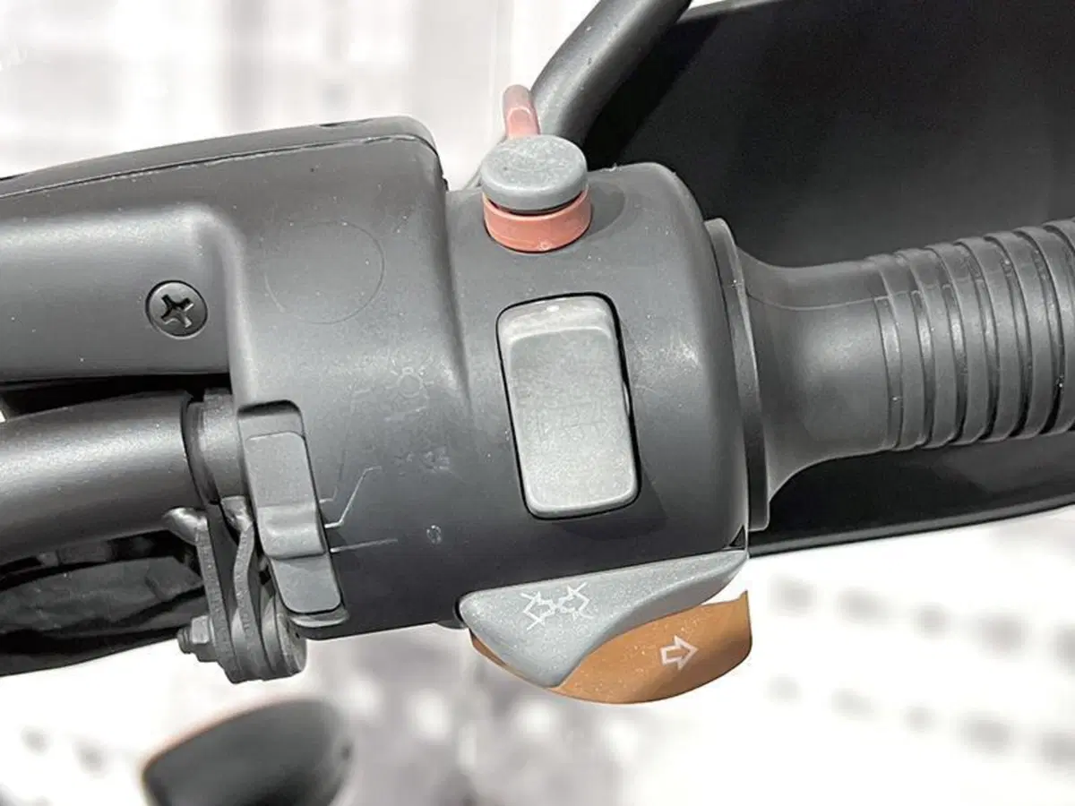 Bmw R 1150 GS (1999 - 03) (4)