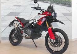 Ducati DesertX Rally (2024 - 25) usata