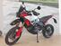 Ducati DesertX Rally (2024 - 25) (6)
