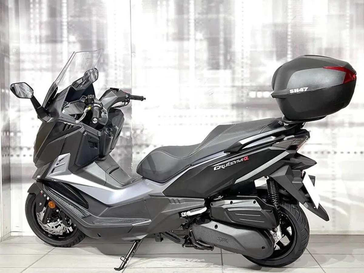 Sym Cruisym 300 (2021 - 24) (2)