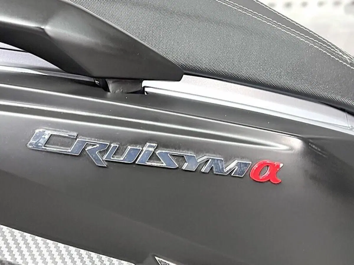 Sym Cruisym 300 (2021 - 24) (4)