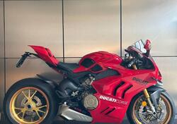 Ducati Panigale V4 S (2022 - 24) usata
