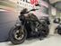 Harley-Davidson Pan America 1250 (2020 - 25) (8)
