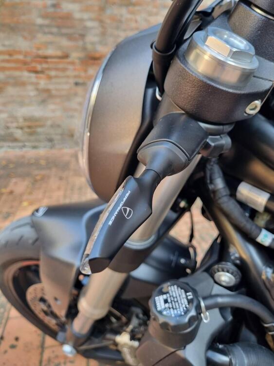 Ducati Monster 821 (2018 - 20) (5)