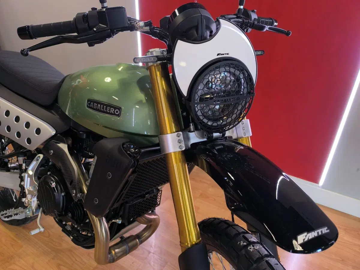 Fantic Motor Caballero 500 Scrambler (2025 - 26) (4)