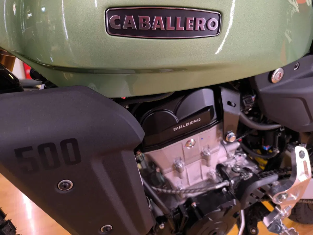 Fantic Motor Caballero 500 Scrambler (2025 - 26) (6)