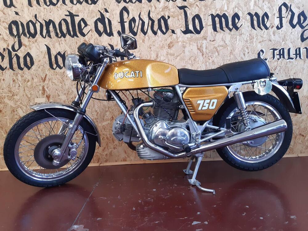 Ducati 750 GT  (2)