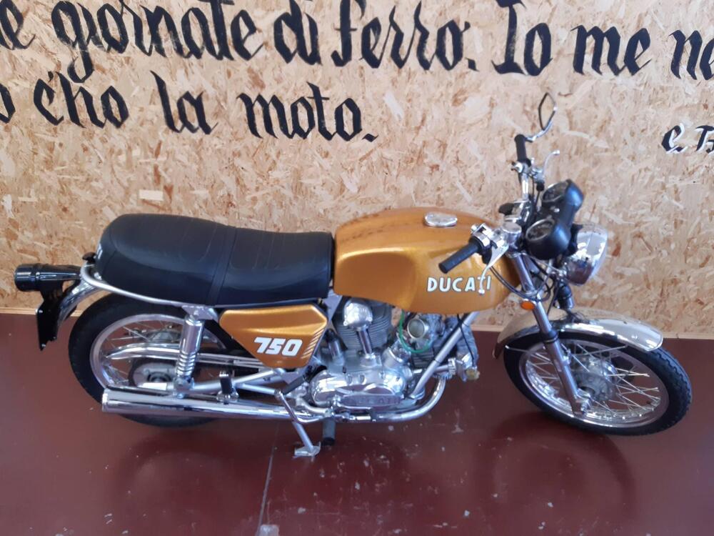 Ducati 750 GT  (3)