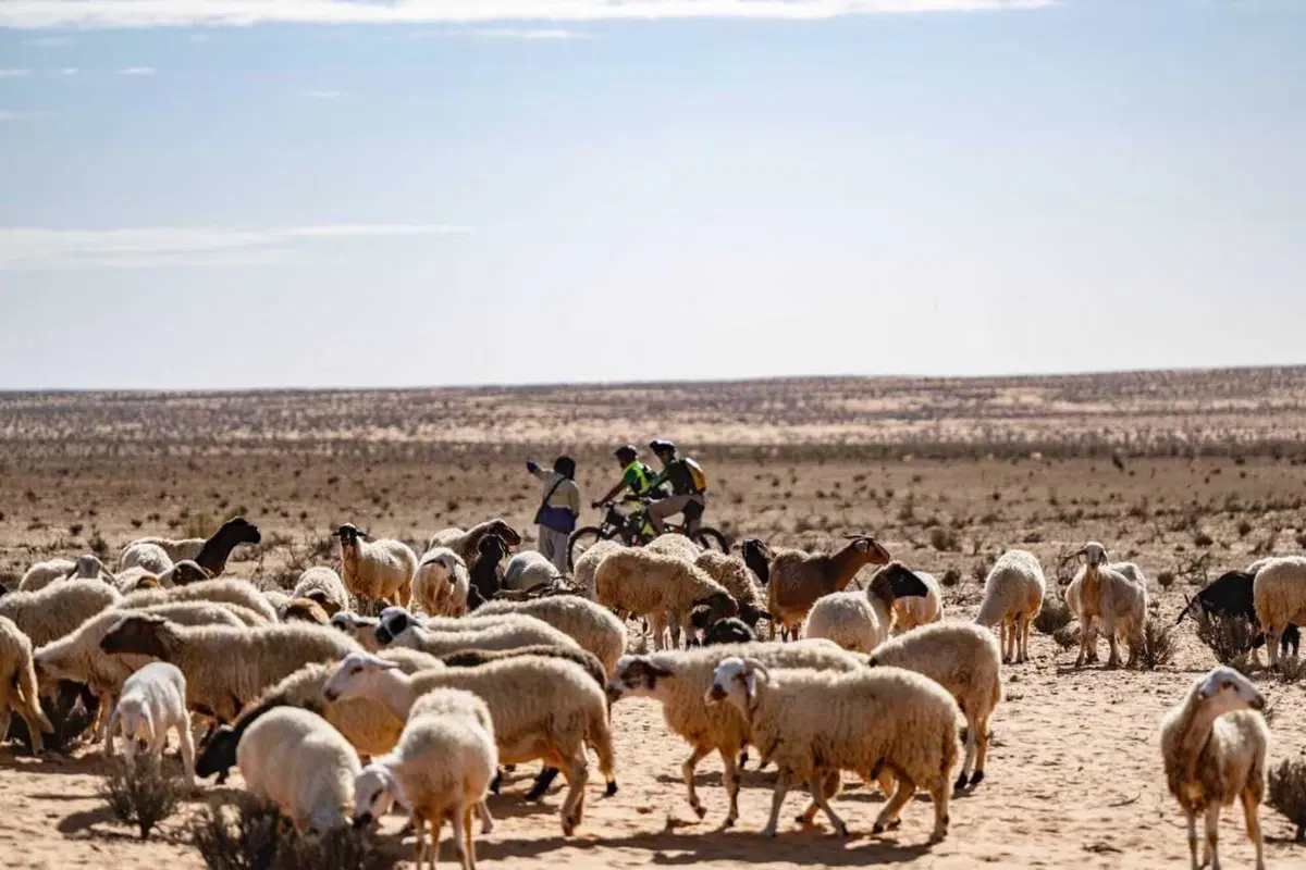Tembaine Desert Rally: 100 rider e-bike pronti a sfidare il Sahara tunisino (103)