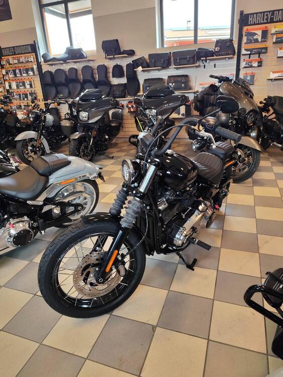 Harley-Davidson Street Bob 117 (2025) (2)