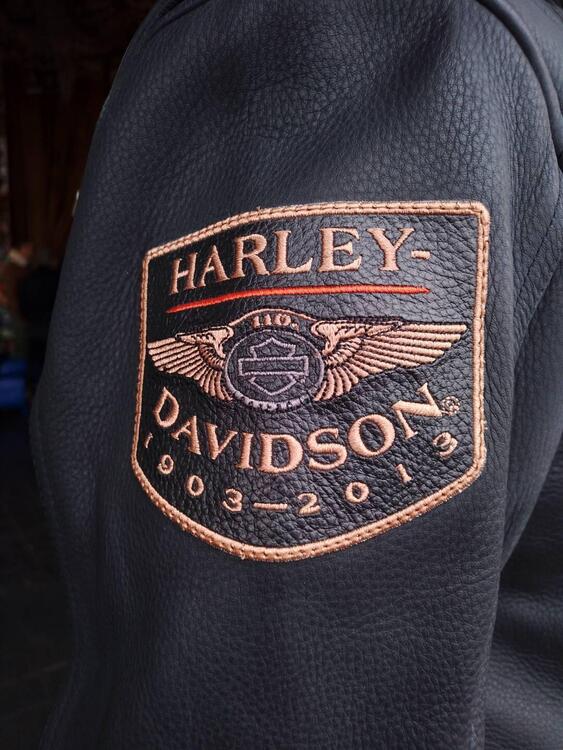 Giacca Harley Davidson 110 anniversario Harley-Davidson (4)