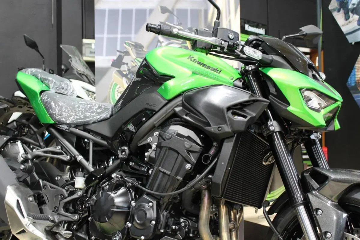 Kawasaki Z 900 (2025 - 26) (4)